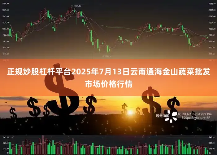 正规炒股杠杆平台2025年7月13日云南通海金山蔬菜批发市场价格行情
