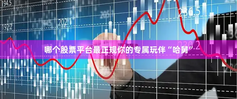 哪个股票平台最正规你的专属玩伴“哈舅”
