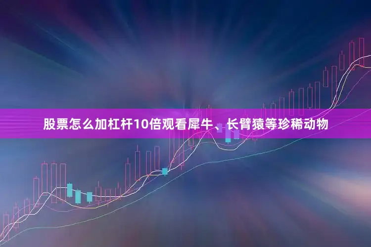 股票怎么加杠杆10倍观看犀牛、长臂猿等珍稀动物