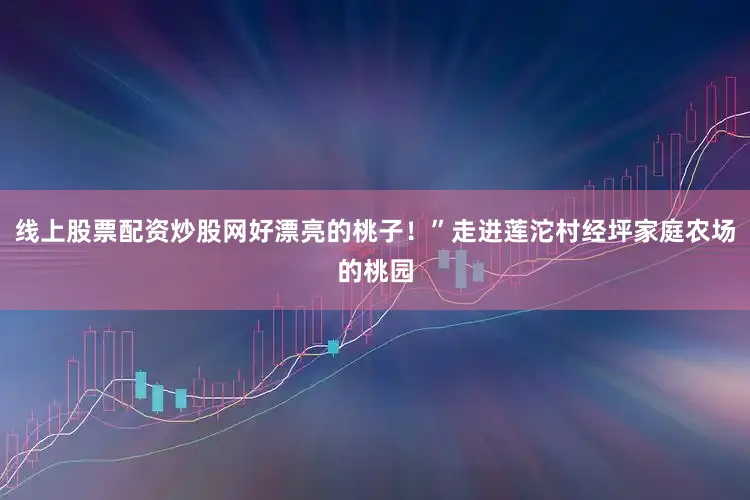 线上股票配资炒股网好漂亮的桃子！”走进莲沱村经坪家庭农场的桃园